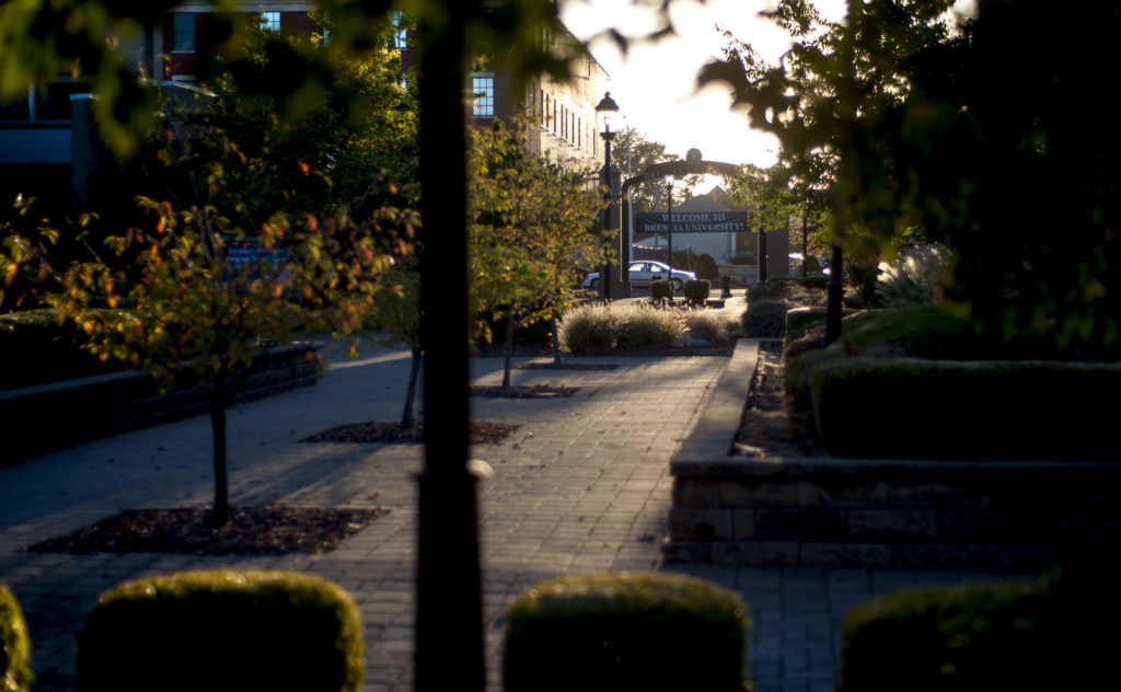 Walkway on campus with light shining in between the trees and leaves to show an arch