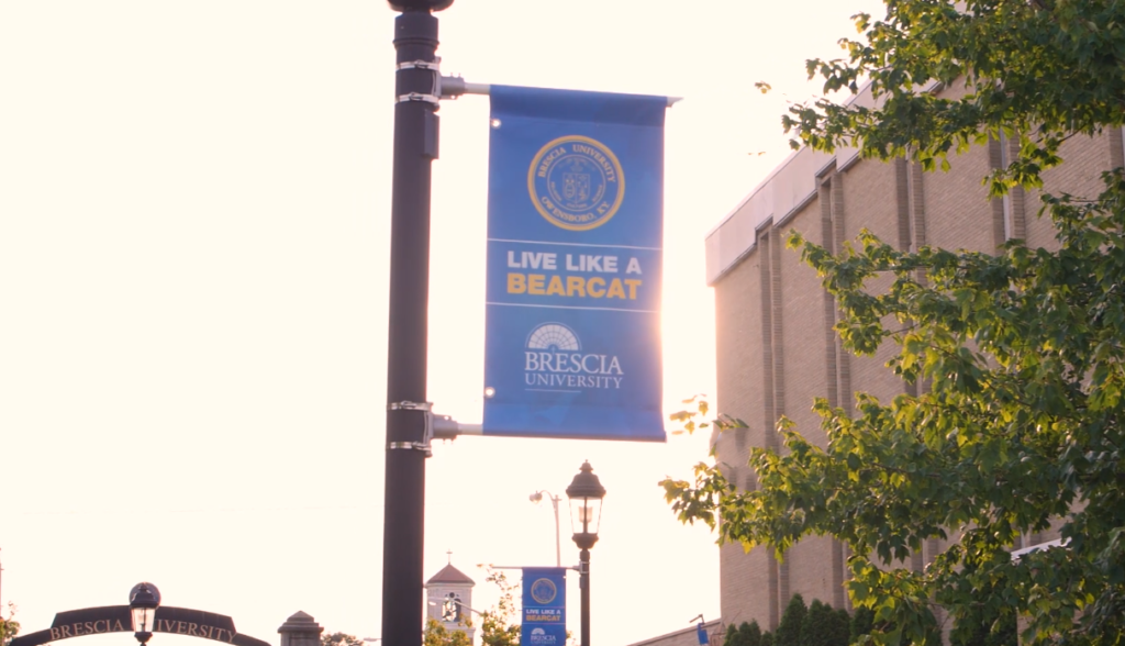 Live Like A Bearcat banner on a light pole.