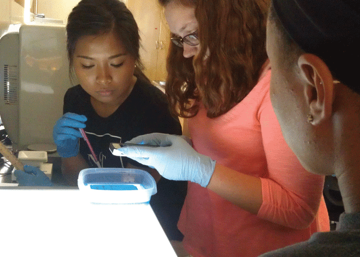 Three students in a lab