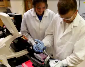 Medical Laboratory Science